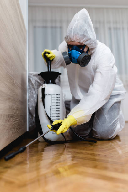 Best Pest Prevention Services  in Metairie, LA